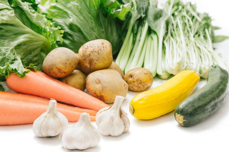 カット野菜工場 衛生管理 HACCP(ハサップ) カット野菜工場 衛生管理 HACCP(ハサップ)