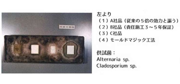 他社品との比較テストの一例（３週間後）